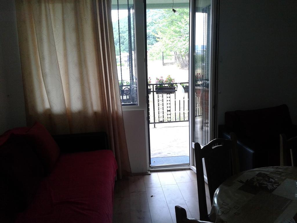 Apartment Pavlovic Soko Banja Exterior foto
